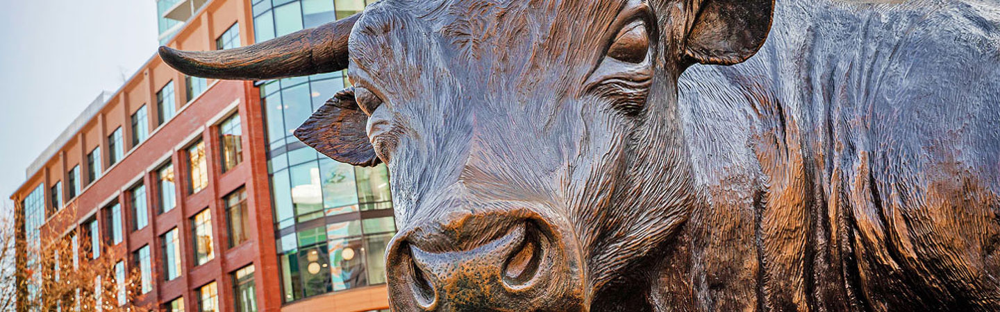 Durham County Bull Statue