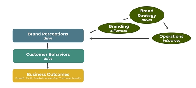 A graphic that shows the impact that brand strategy has on both branding and operations