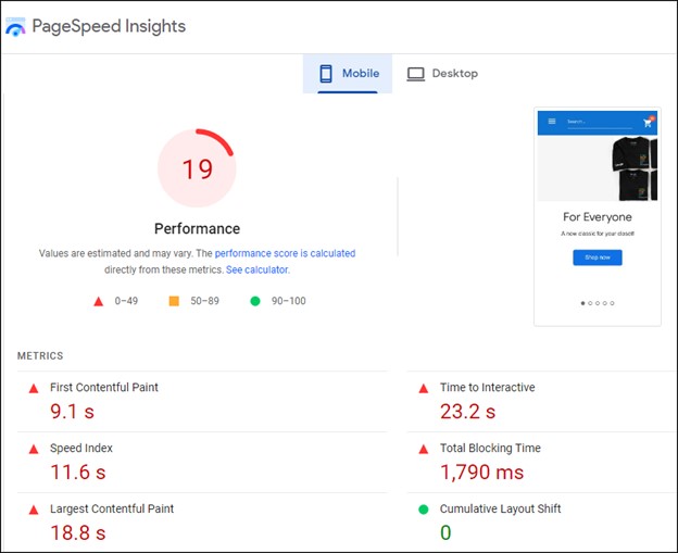 PageSpeed Insights results