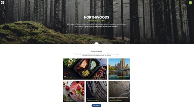 Northwoods Website screen grab