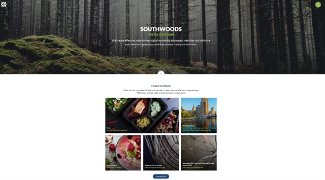Southwoods website screen grab