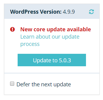 WordPress Version update