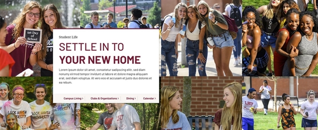 A image collage used on a higher education website that helps to convey a sense of the institution's culture for prospective students.