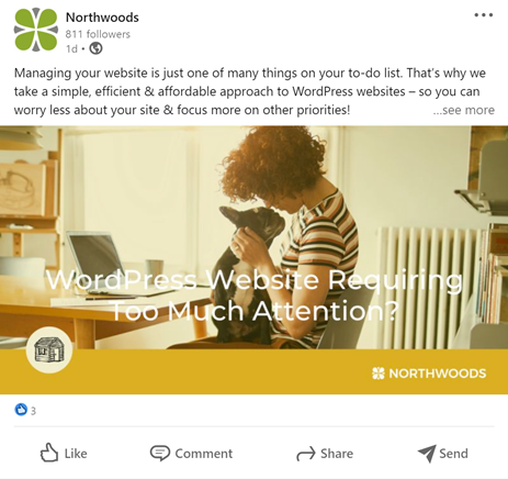 An example of a Northwoods digital ad