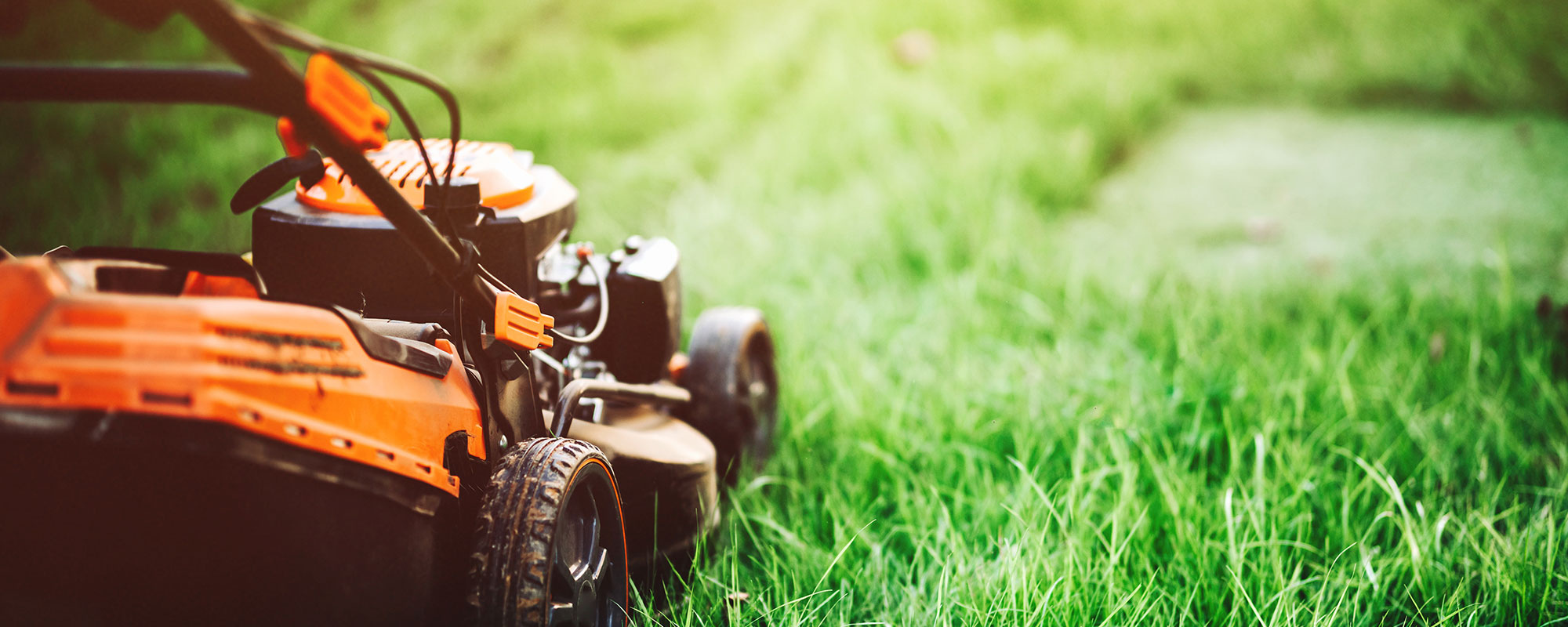 push lawn mower on the grass
