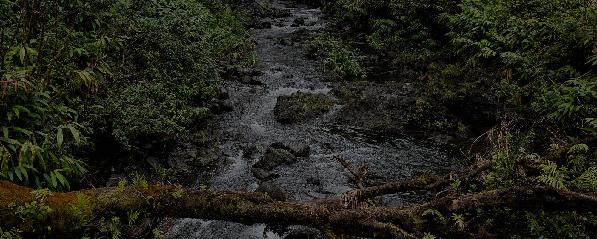 stream