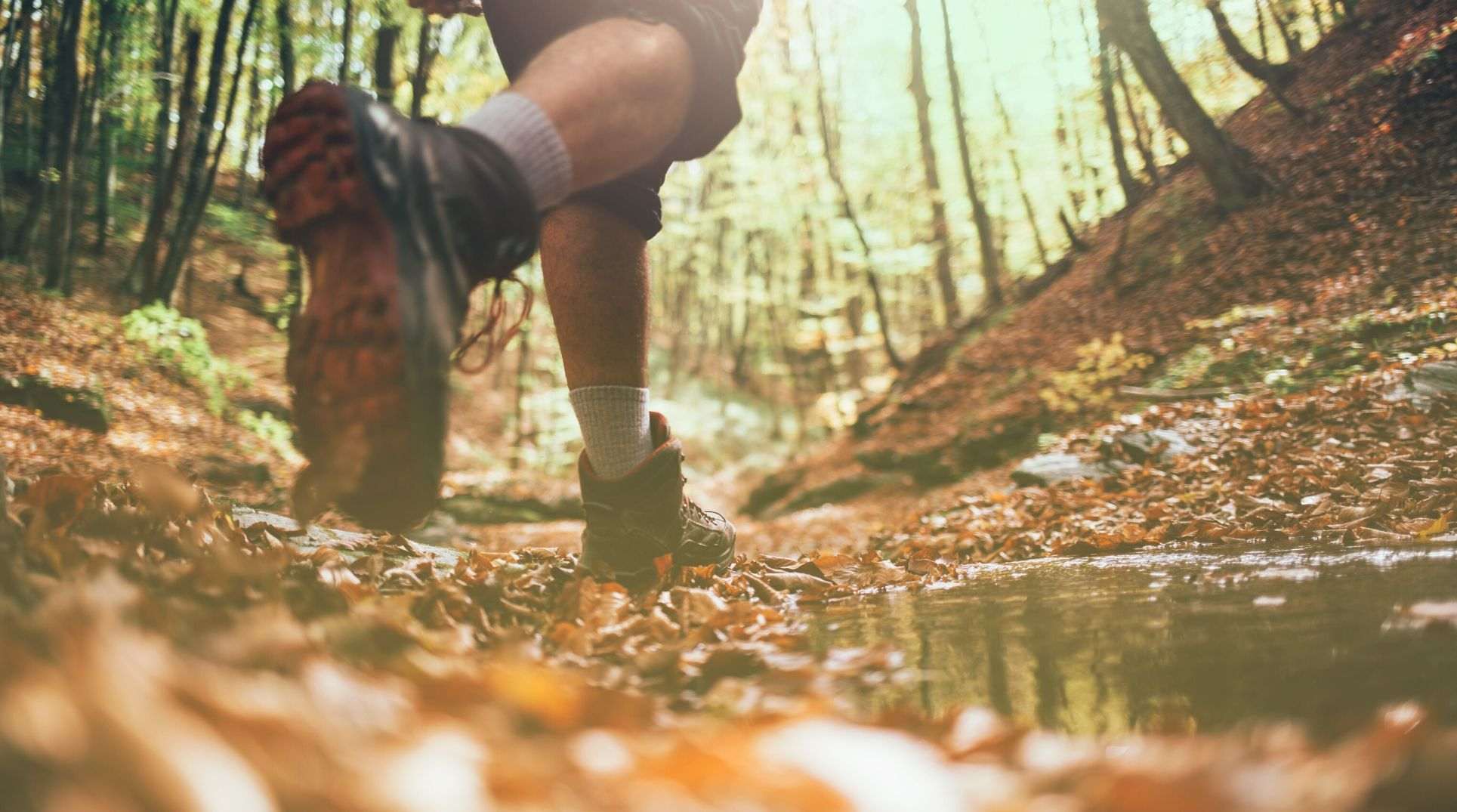 Close-up of a hiker's foot