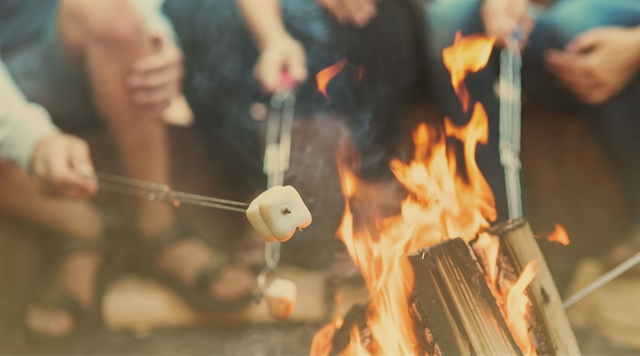 People roasting marshmallows over a campfire