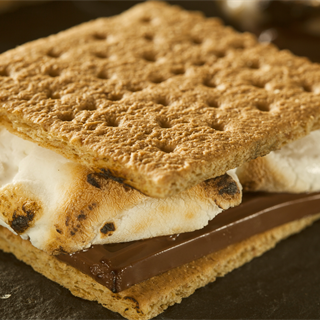 Close up of a S'more