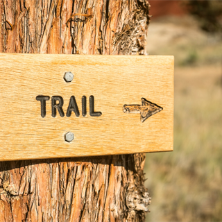 Wooden trail sign on a tree in a sunny, golden forest