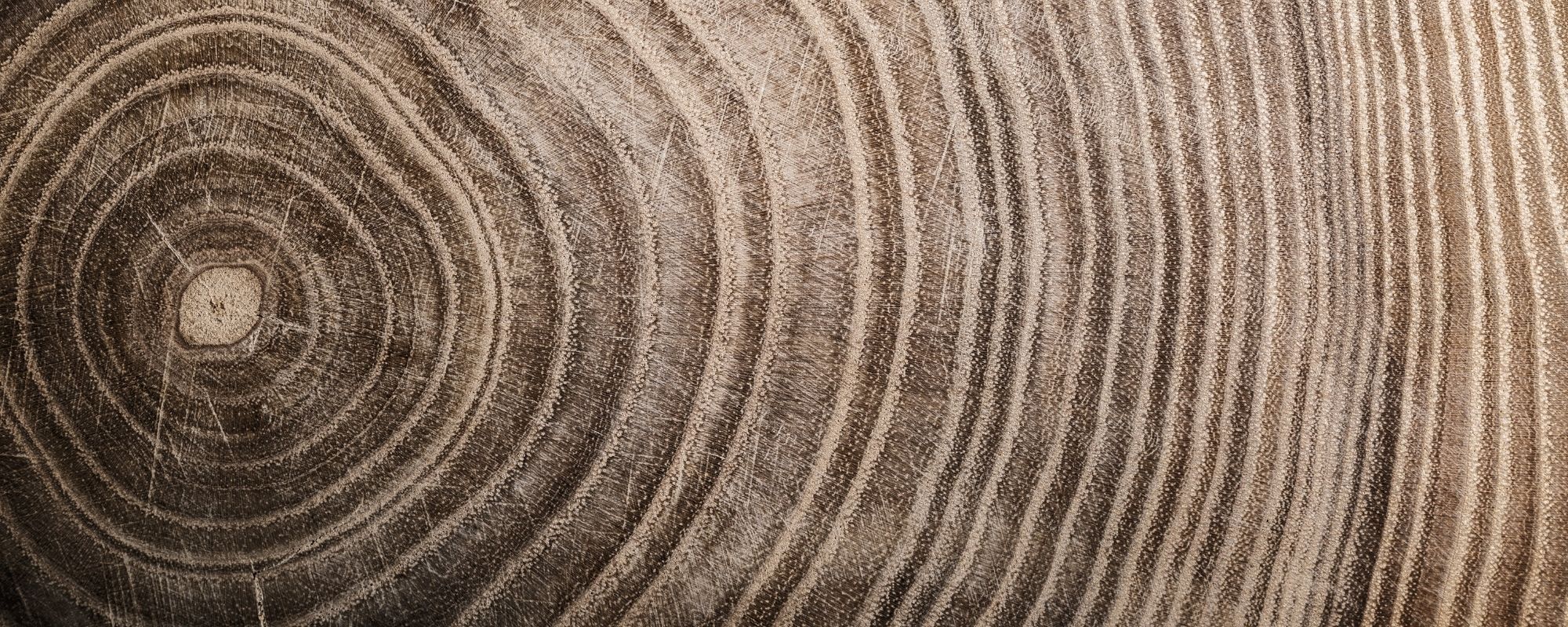 tree grain