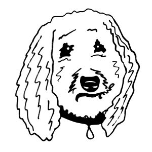 A hand drawn line art image of Sammy the dog