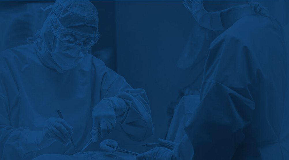 Software Development Northwoods