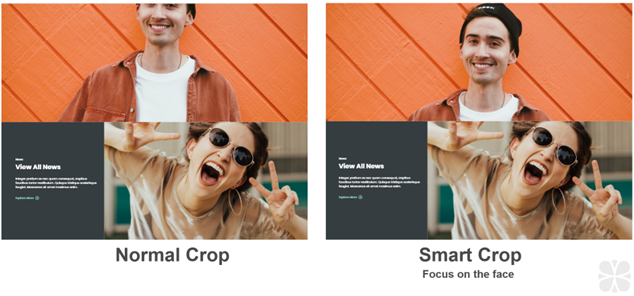 An example of web images showing the difference between a standard crop and a smart crop