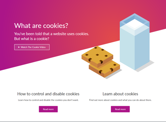 An image from a website about online cookies that uses animation to turn a dry topic into something more interesting