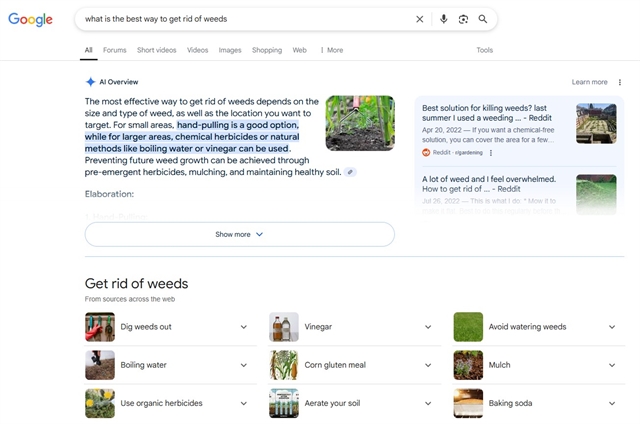 An image of a Google search engine results page