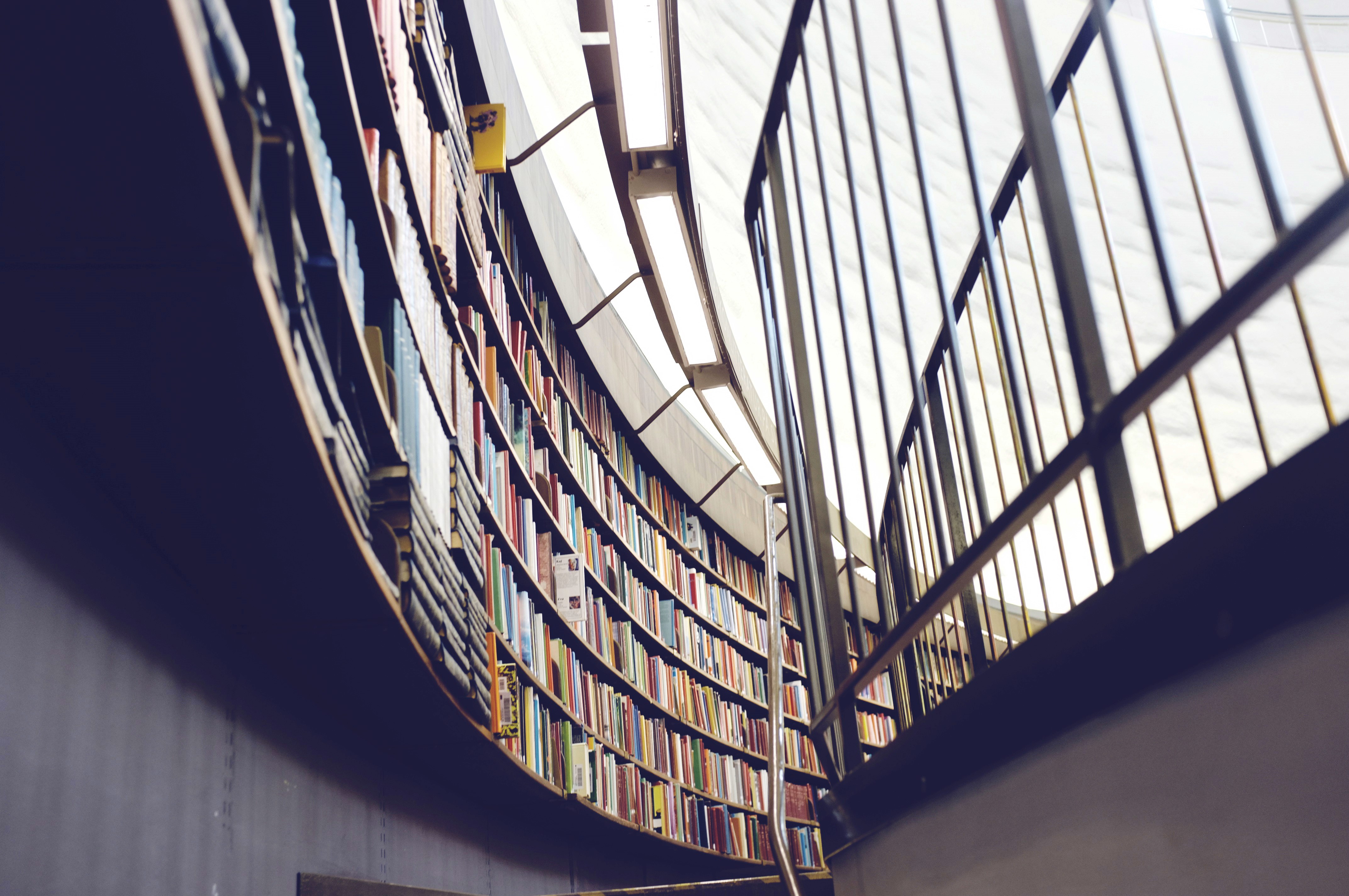 shelves of books in a library