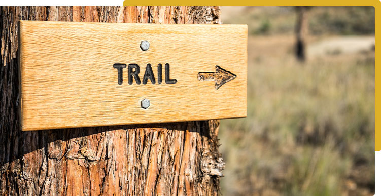 sign on tree marking trail direction